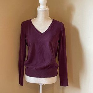 ✨HP✨ H&M Basic V-neck Sweater - Burgundy